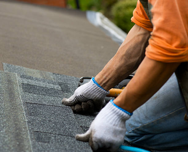 Best Local Roofing Companies  in Lenape Heights, PA